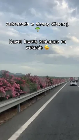 autopotok.pl