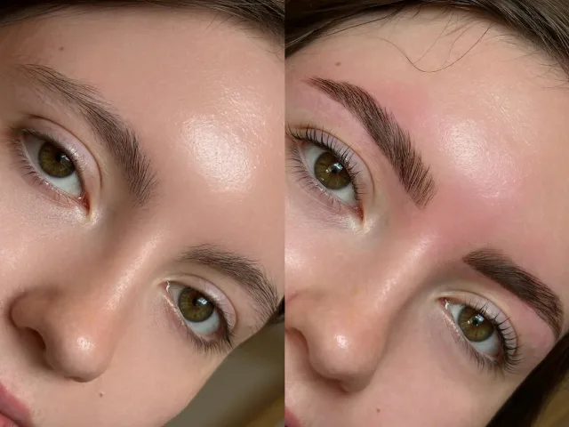 brows_lami.liza
