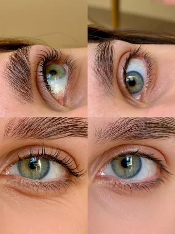 brows_lami.liza