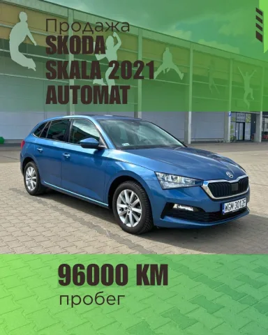 autoselekcja_pl