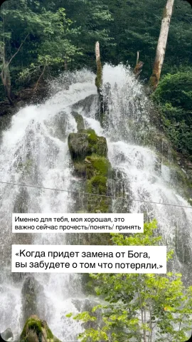 t34_health