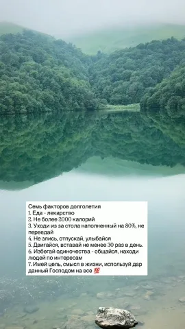 t34_health