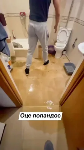 expert_master_org_ua