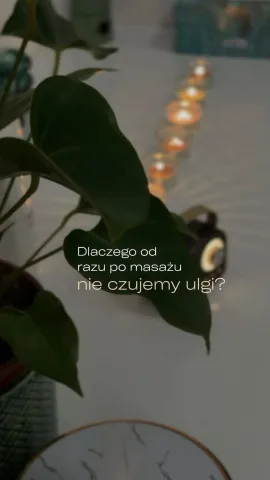 salonfly_