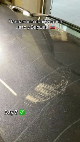 next.car.detailing