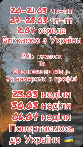 best_travel_bus