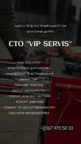 vip_servis_vin