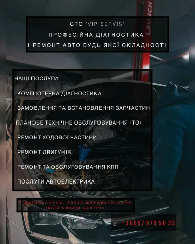 vip_servis_vin