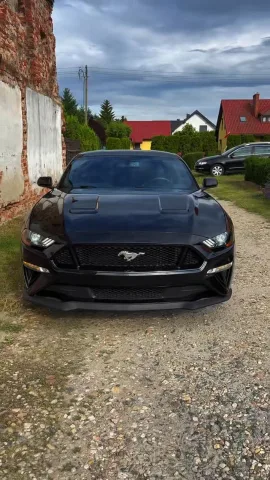project.m.detailing