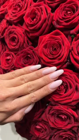 golden.handsss