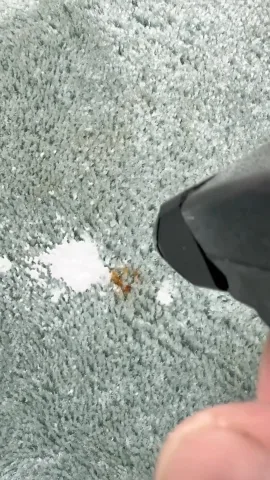 _alpha_clean_