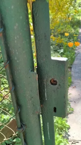 dzmitry_kukhtsin_psy