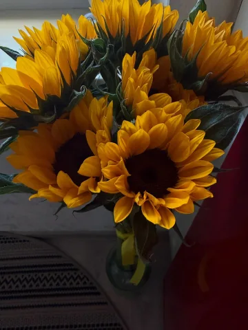 olha_bortnyk