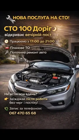 100dorig