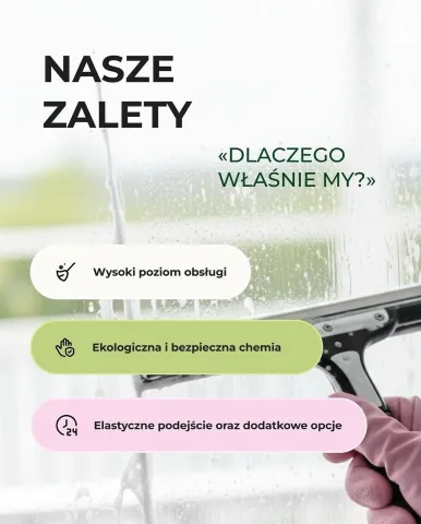 tidytigers.cleaning.pl