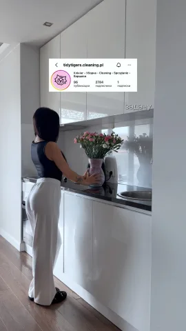 tidytigers.cleaning.pl
