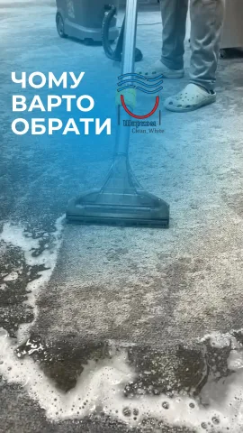 sharkom_cleaning