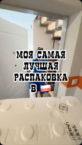 polins_pl