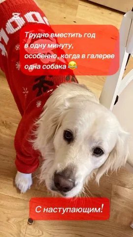 psy_tatsiana_kel